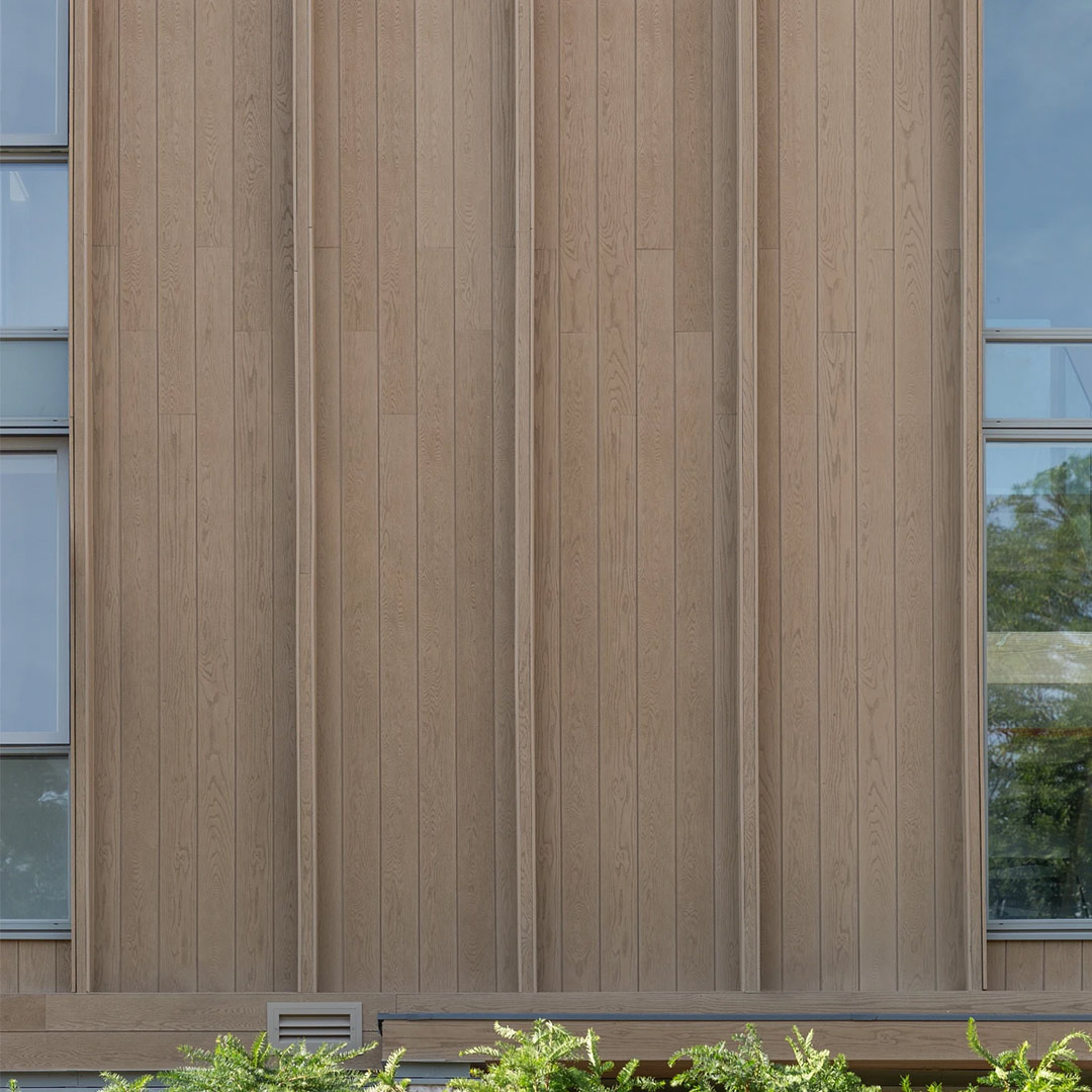 לוח חיפוי משונן מוזהב